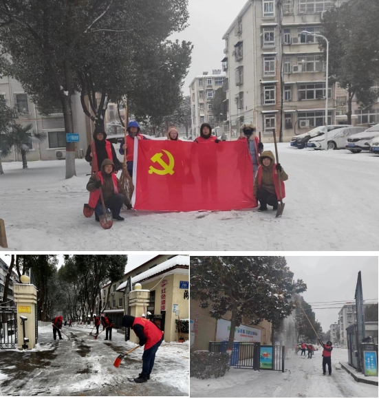 東盛公司黨員志愿者抗冰除雪